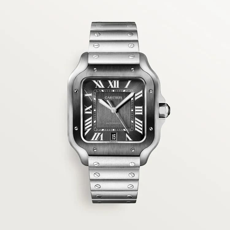 Cartier Santos de Cartier WSSA0037