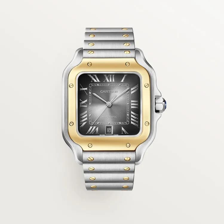 Cartier Santos de Cartier W2SA0030