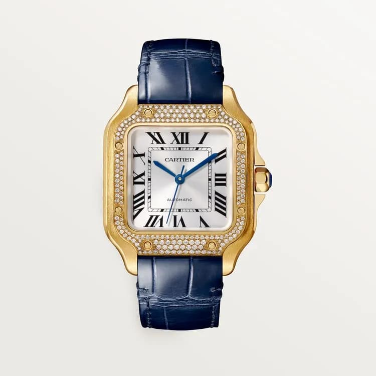Cartier Santos de Cartier WJSA0013