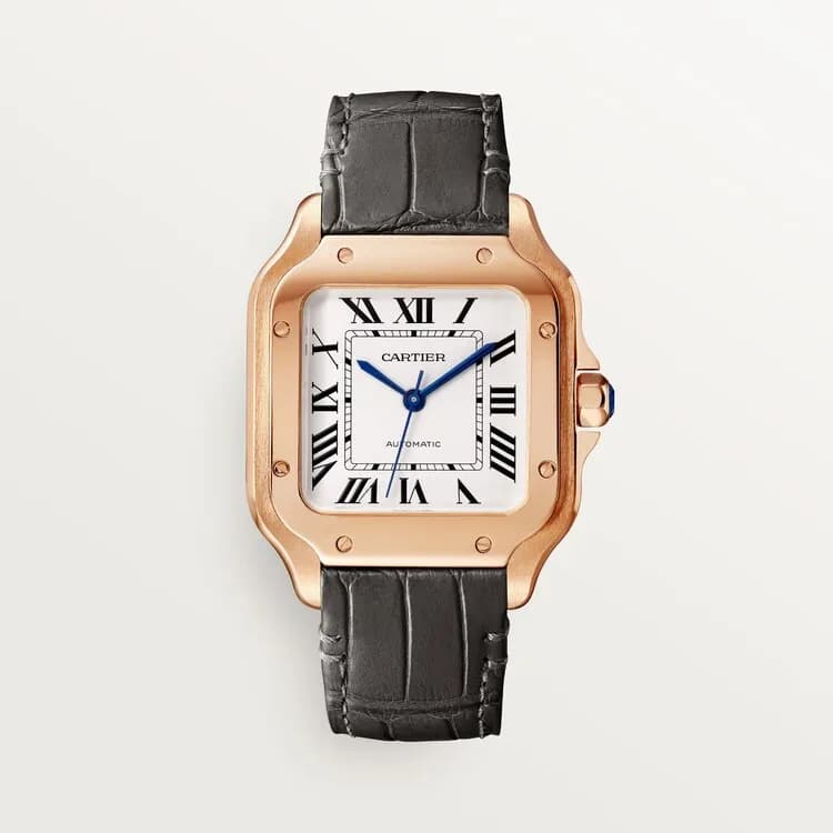 Cartier Santos de Cartier WGSA0028