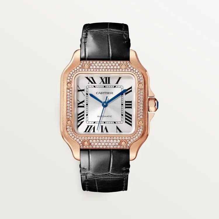 Cartier Santos de Cartier WJSA0012