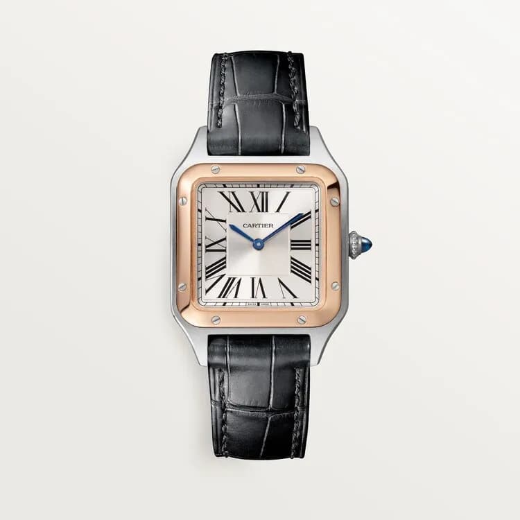 Cartier Santos-Dumont W2SA0012