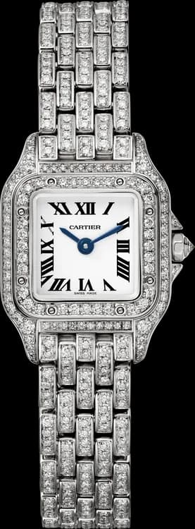 Cartier Panthère de Cartier HPI01641