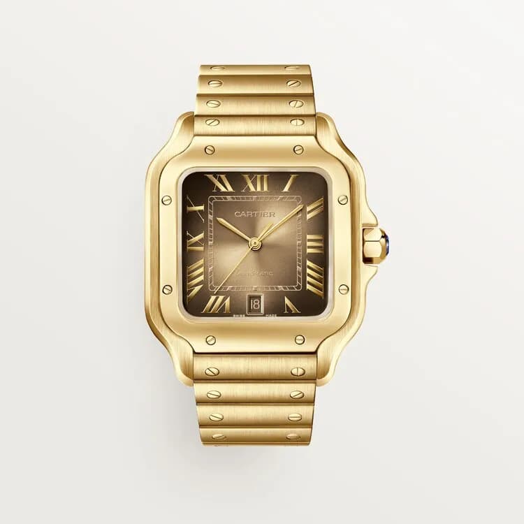 Cartier Santos de Cartier WGSA0095