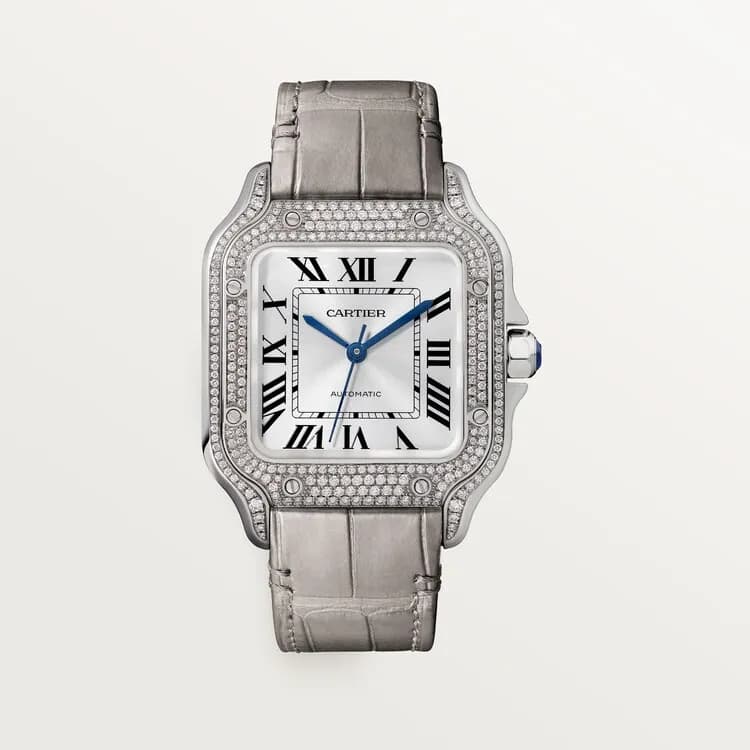 Cartier Santos de Cartier WJSA0014