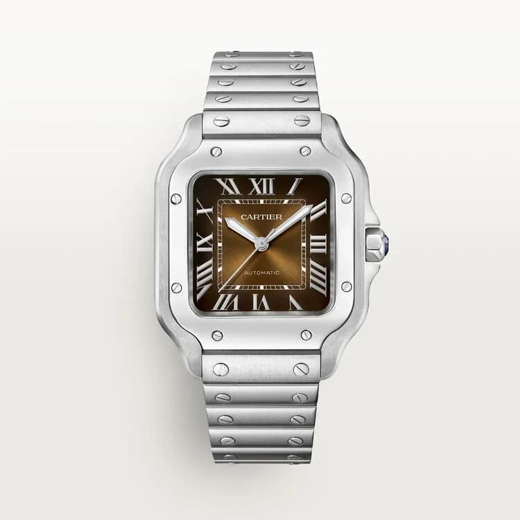 Cartier Santos de Cartier WSSA0065