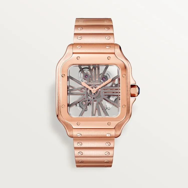Cartier Santos de Cartier skeleton WHSA0016