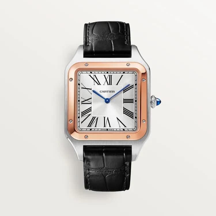 Cartier Santos-Dumont W2SA0017