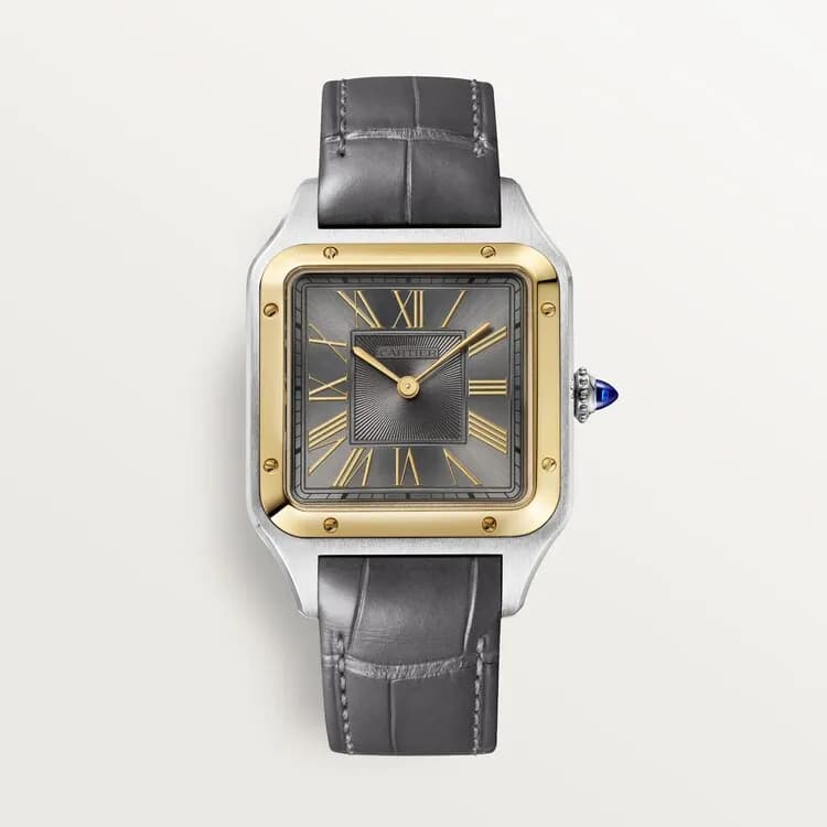 Cartier Santos-Dumont W2SA0028