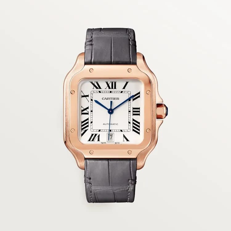Cartier Santos de Cartier WGSA0019