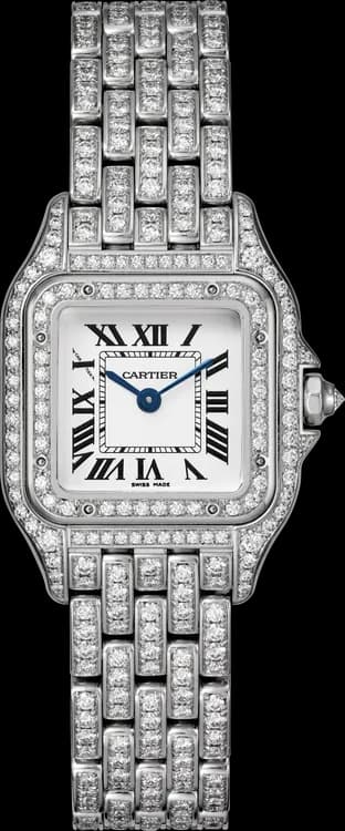 Cartier Panthère de Cartier HPI01643