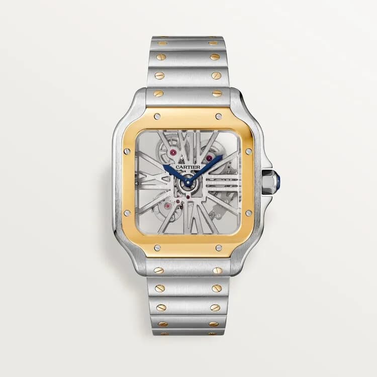 Cartier Santos de Cartier skeleton WHSA0019