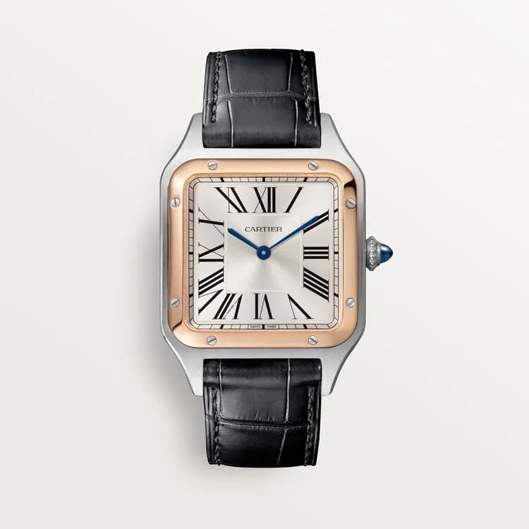 Cartier Santos-Dumont W2SA0011