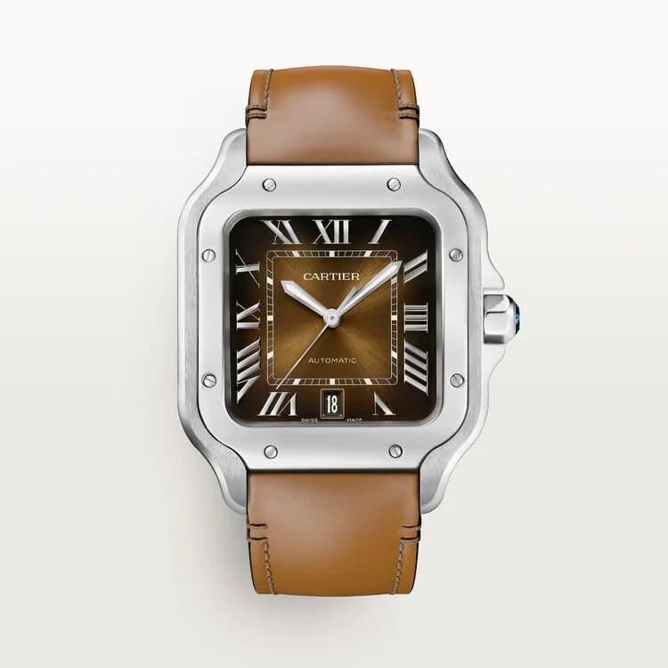 Cartier Montre Santos de Cartier WSSA0079