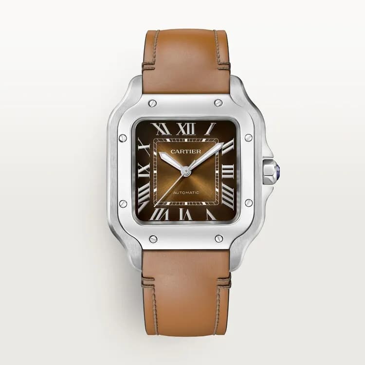 Cartier Montre Santos de Cartier WSSA0081