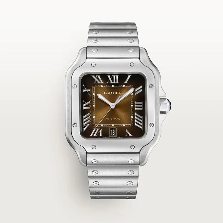 Cartier Santos de Cartier WSSA0064