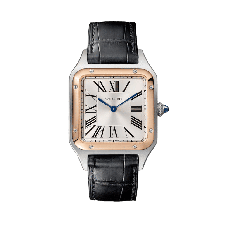 Cartier Santos Dumont ref. W2SA0011 silver dial steel case leather bracelet 31.4mm